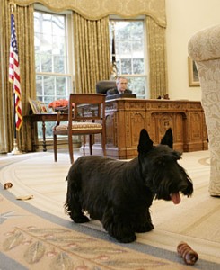 Barney_oval_office