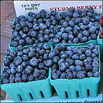 Blueberries