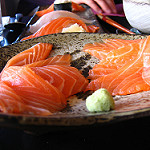 Salmon