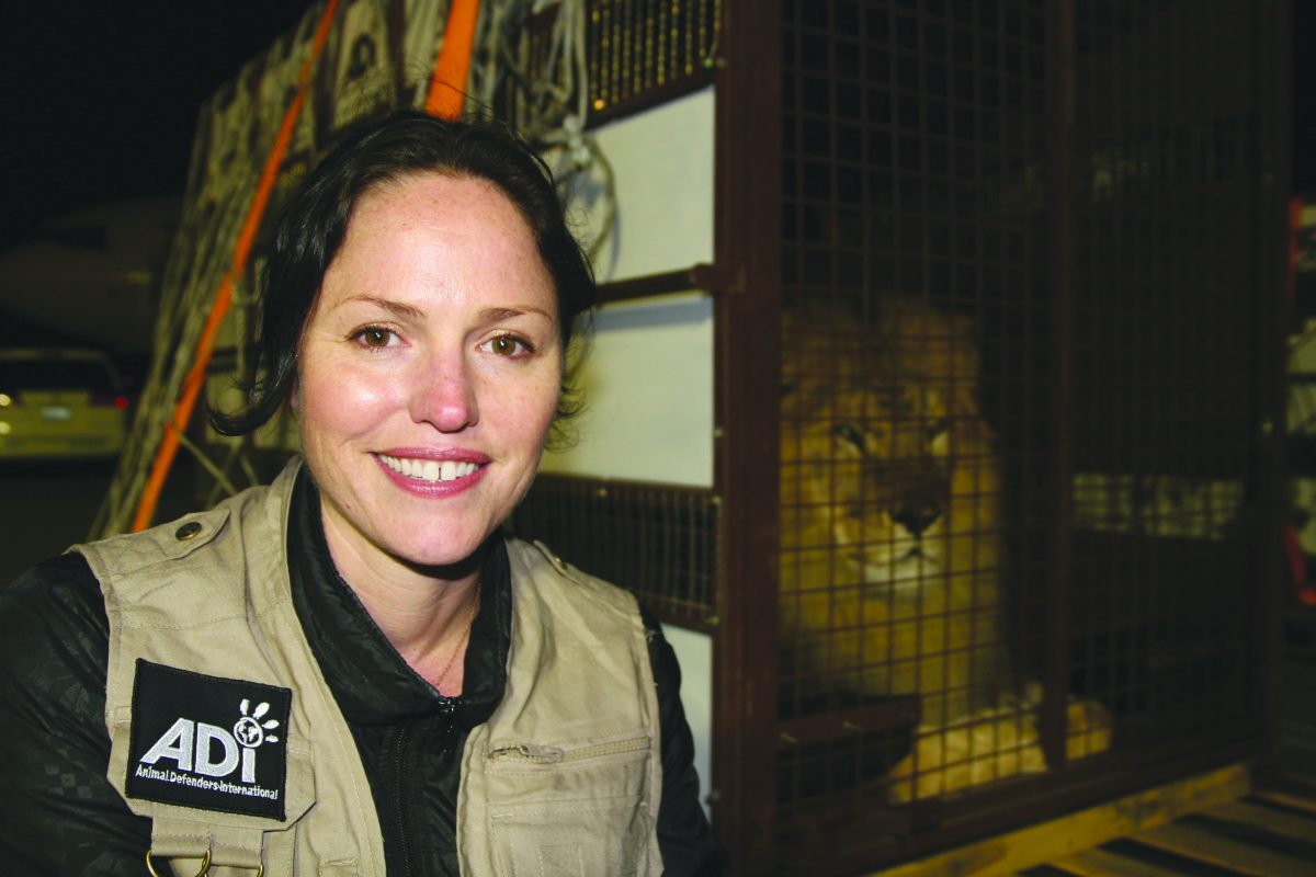 Jorja Rutledge Jorja's Lionhearted Activism - SharpHeels